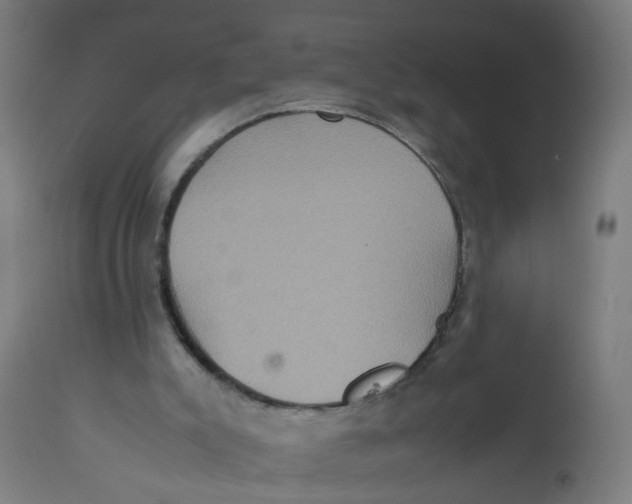 X0000112770007200909171324