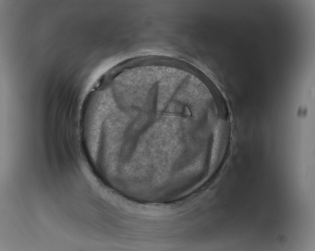 X0000112770008200909171324