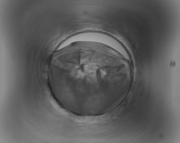 X0000112770009200909171324