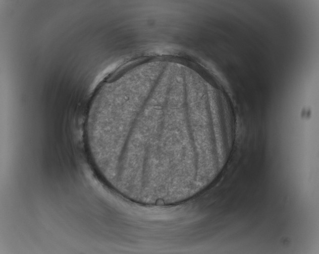 X0000112770010200909171324