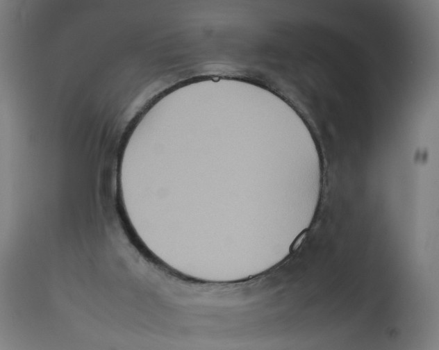 X0000112770011200909171324