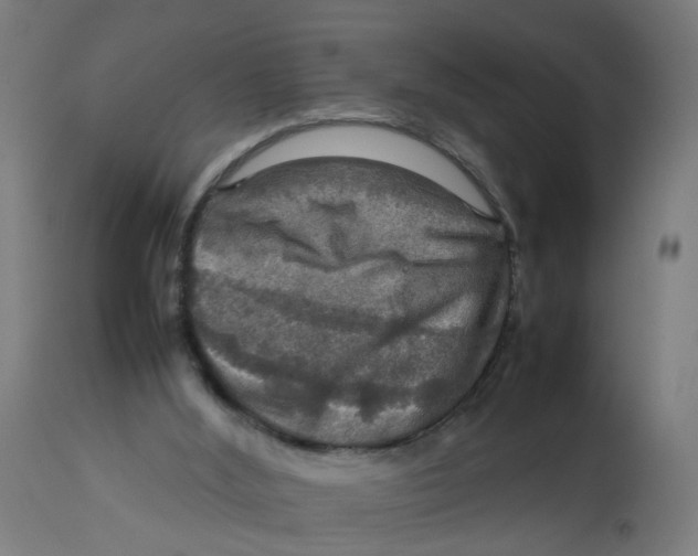 X0000112770012200909171324