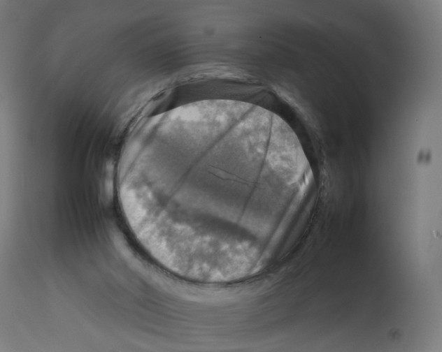 X0000112770014200909171324