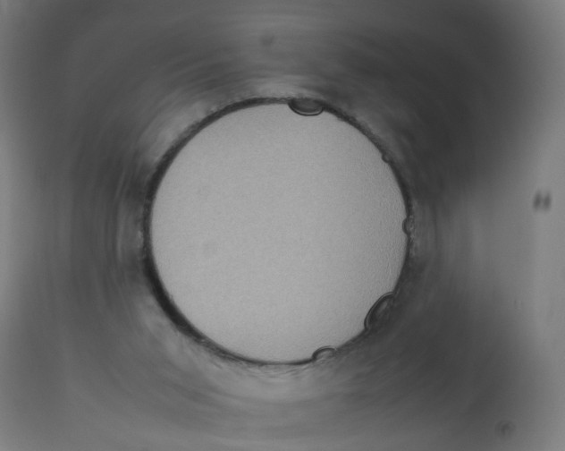 X0000112770015200909171324