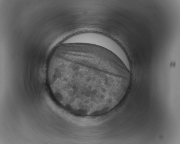 X0000112770016200909171324