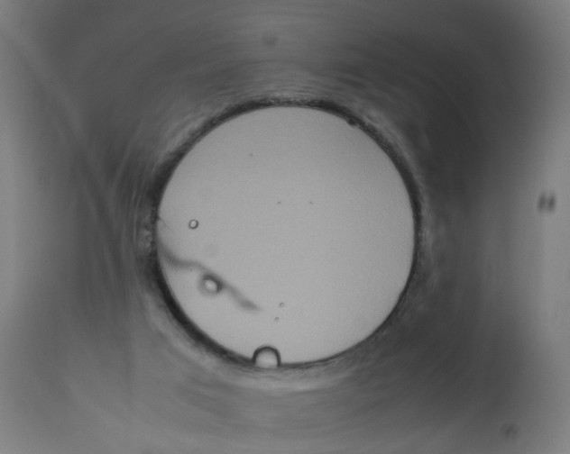 X0000112770017200909171324