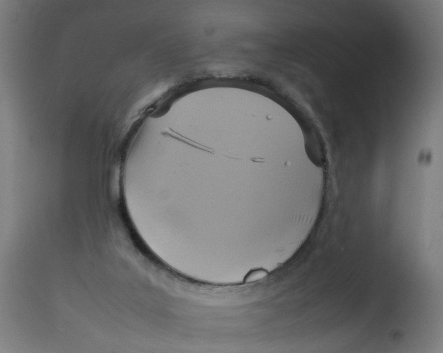 X0000112770019200909171324