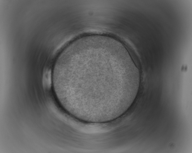 X0000112770020200909171324