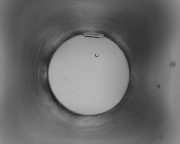 X0000112770021200909171324