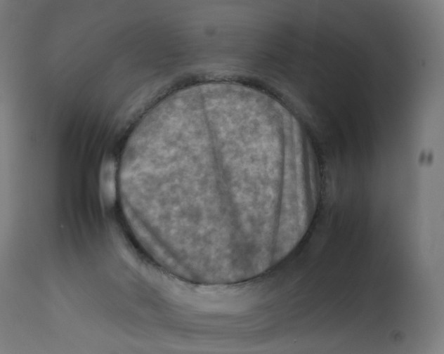 X0000112770022200909171324