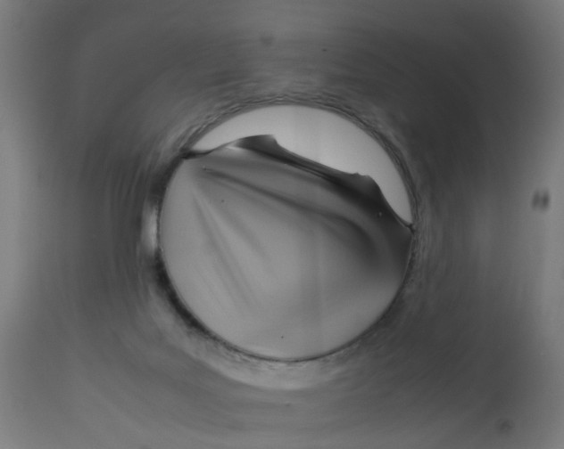 X0000112770027200909171324