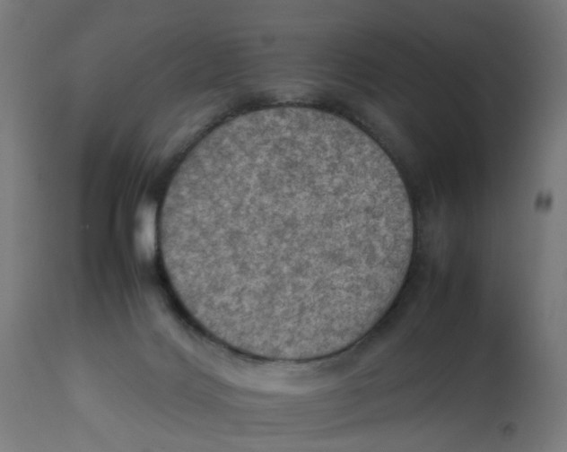 X0000112770028200909171324