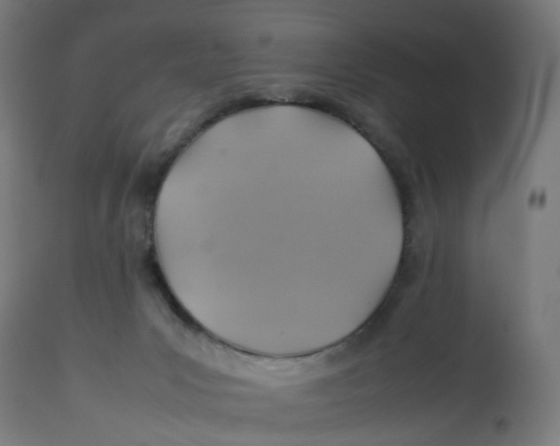 X0000112770031200909171324