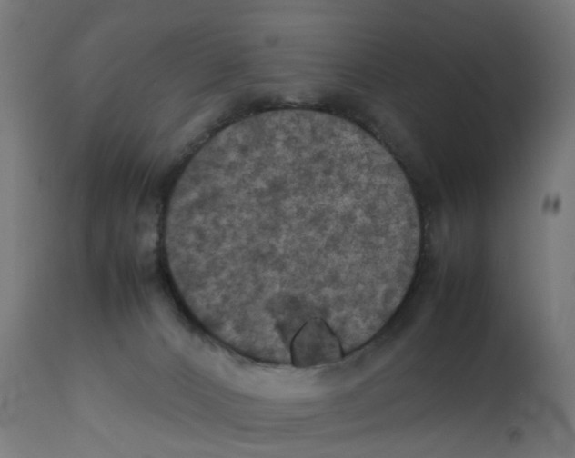 X0000112770032200909171324