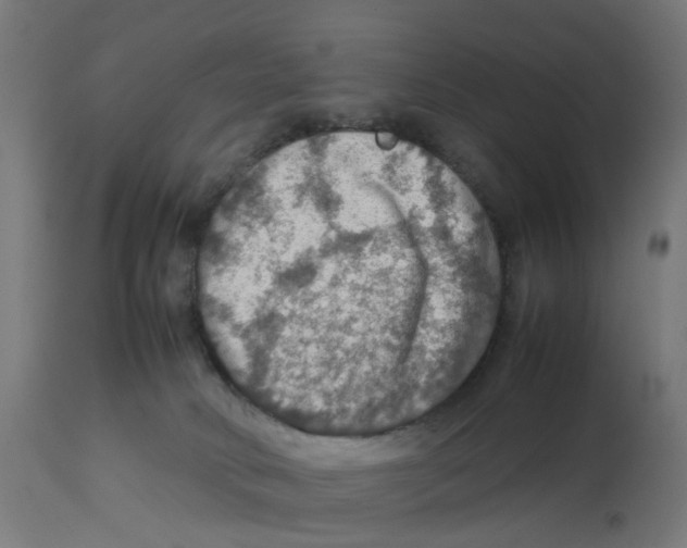 X0000112770034200909171324