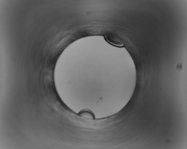 X0000112770035200909171324