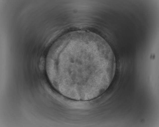 X0000112770036200909171324