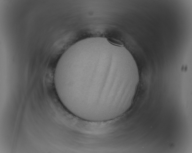 X0000112770037200909171324