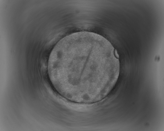 X0000112770040200909171324