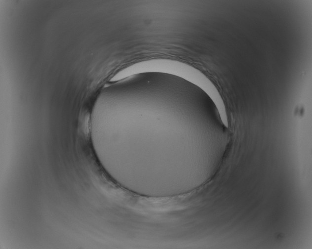 X0000112770041200909171324