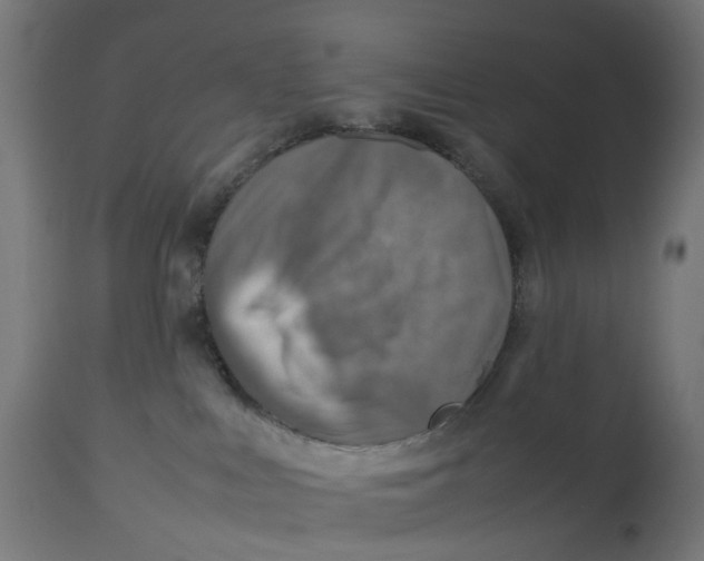 X0000112770043200909171324