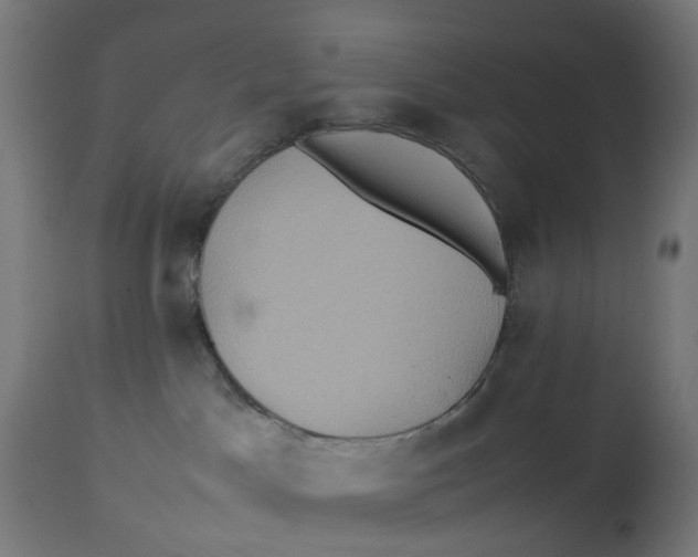 X0000112770045200909171324