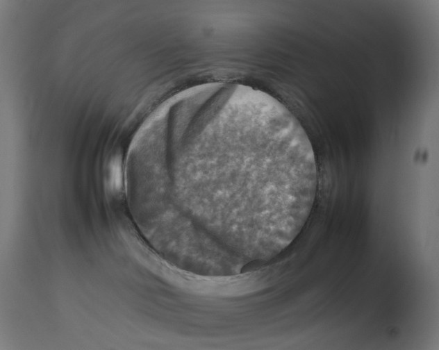 X0000112770046200909171324