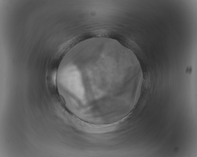 X0000112770047200909171324