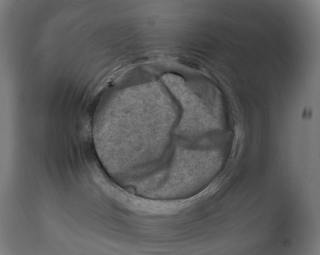 X0000112770048200909171324