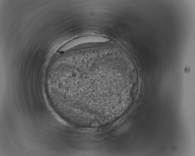 X0000112770049200909171323