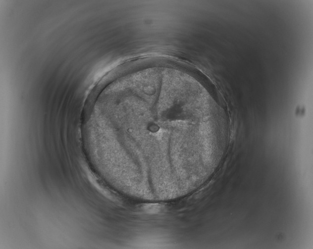 X0000112770050200909171323