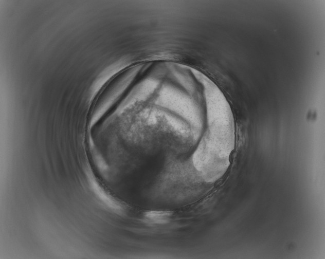 X0000112770051200909171323