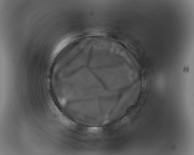 X0000112770053200909171323