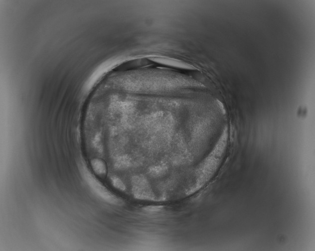 X0000112770054200909171323