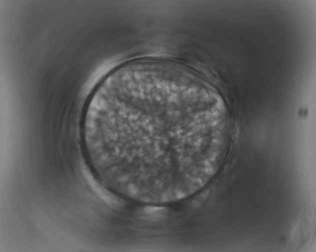 X0000112770055200909171323