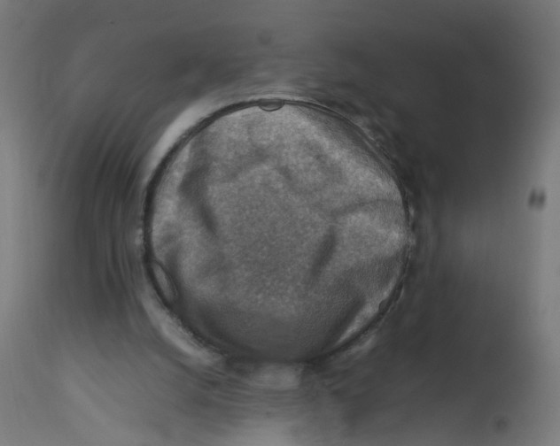 X0000112770056200909171323