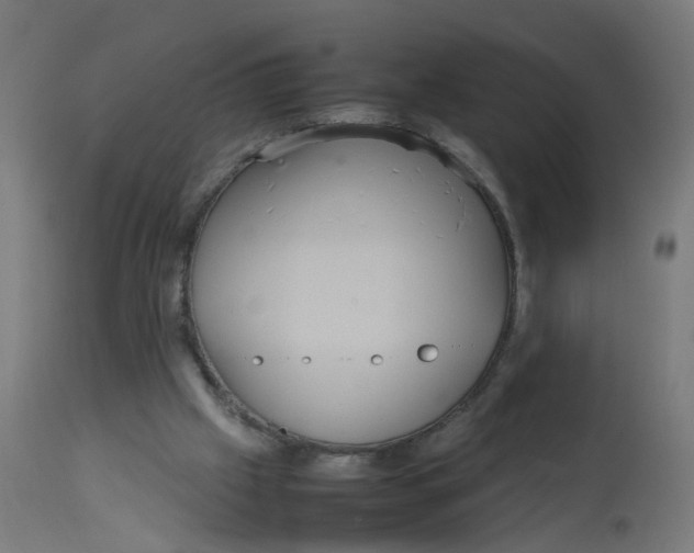 X0000112770057200909171323