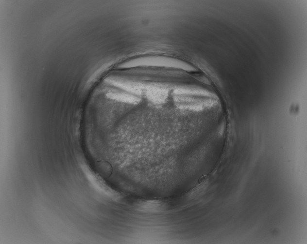 X0000112770058200909171323