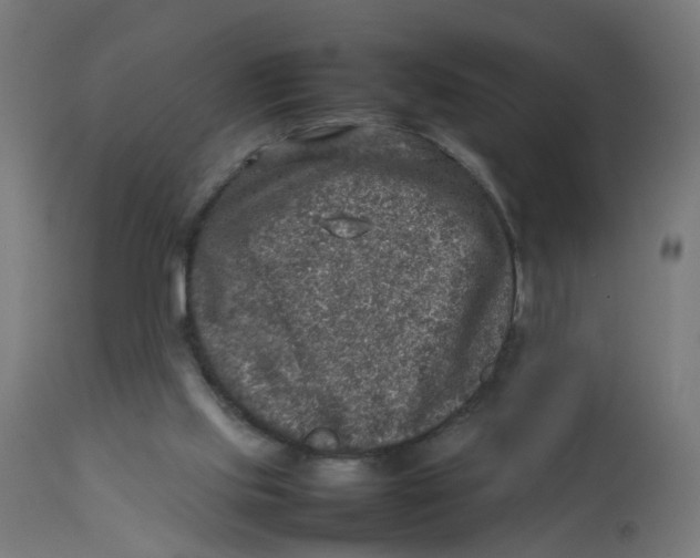 X0000112770061200909171323