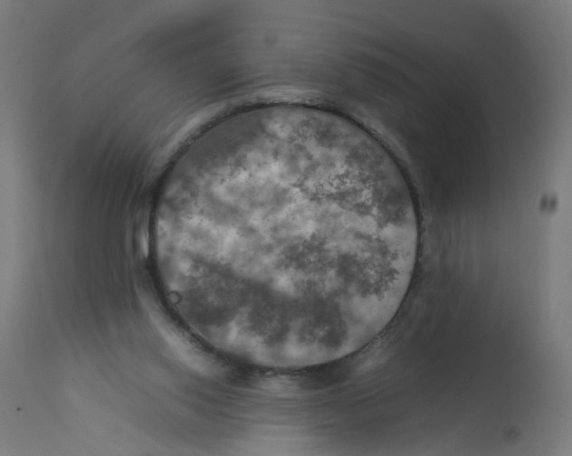 X0000112770062200909171323