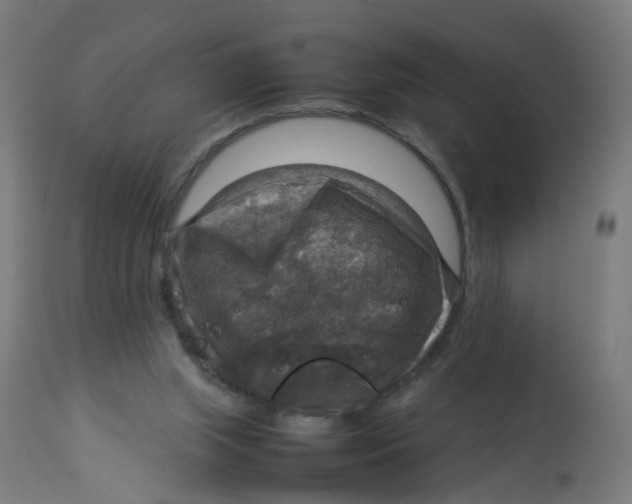 X0000112770063200909171323