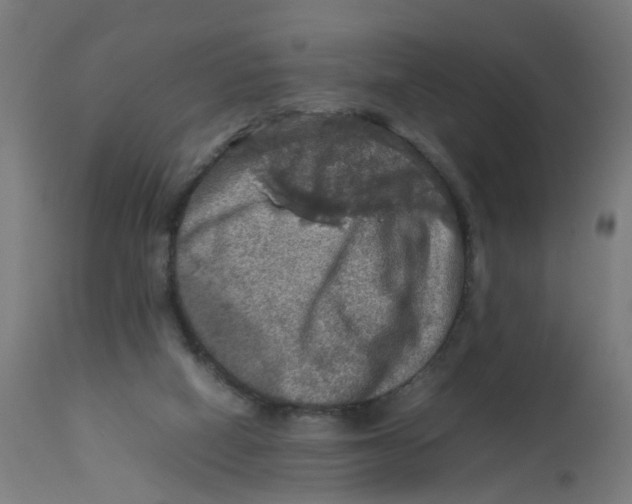 X0000112770066200909171323