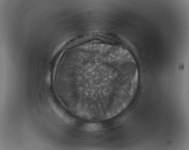 X0000112770067200909171323