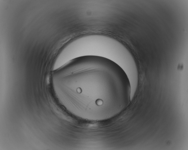 X0000112770068200909171323