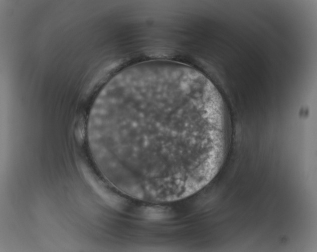 X0000112770069200909171323