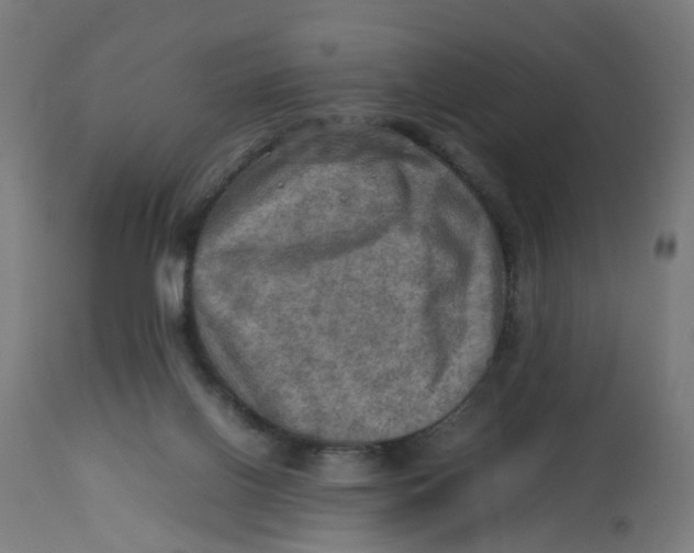 X0000112770070200909171323