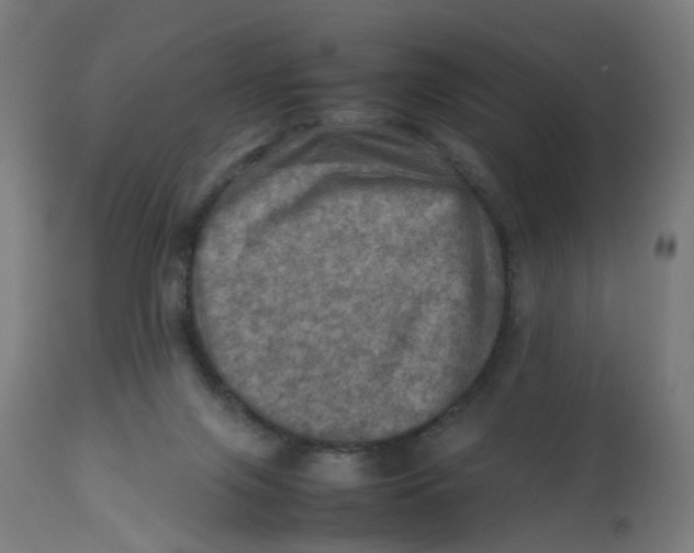 X0000112770071200909171323