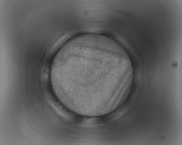 X0000112770072200909171323