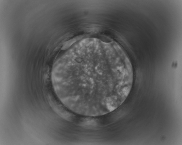 X0000112770073200909171323