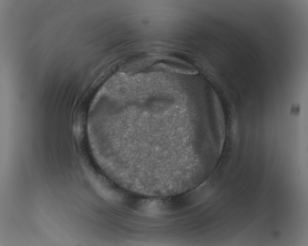 X0000112770074200909171323